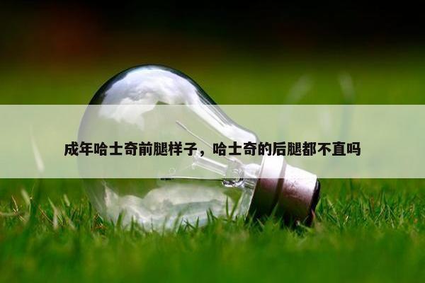 成年哈士奇前腿样子，哈士奇的后腿都不直吗