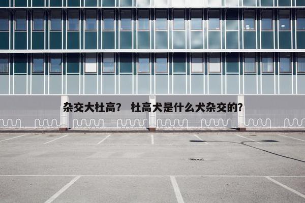 杂交大杜高？ 杜高犬是什么犬杂交的？