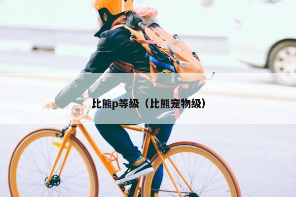 比熊p等级（比熊宠物级）