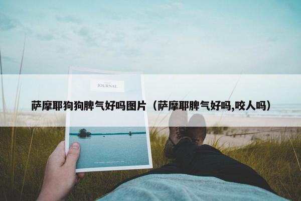 萨摩耶狗狗脾气好吗图片（萨摩耶脾气好吗,咬人吗）