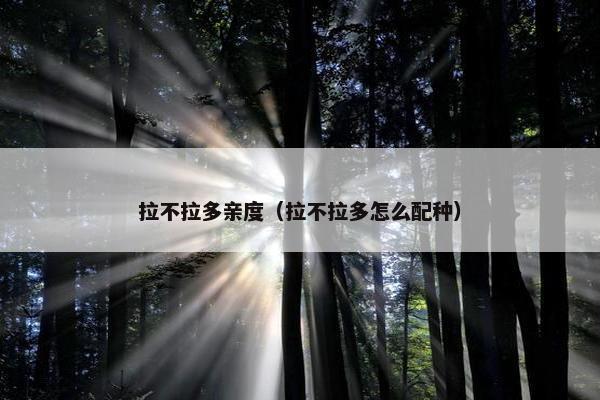 拉不拉多亲度（拉不拉多怎么配种）