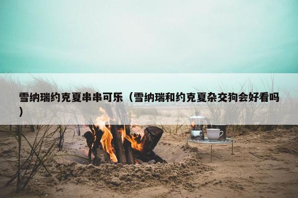 雪纳瑞约克夏串串可乐（雪纳瑞和约克夏杂交狗会好看吗）