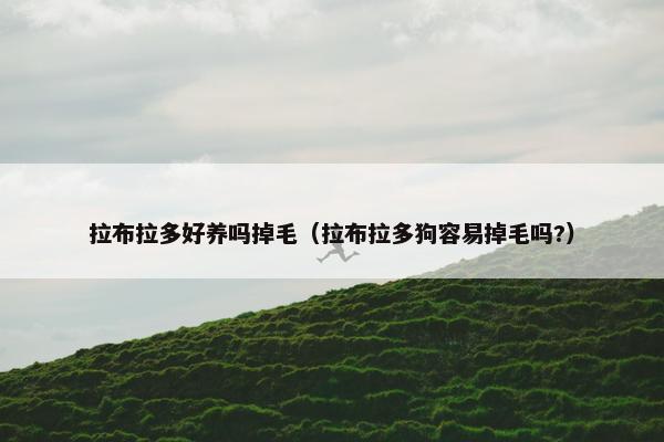 拉布拉多好养吗掉毛（拉布拉多狗容易掉毛吗?）