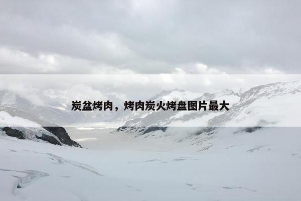 炭盆烤肉，烤肉炭火烤盘图片最大