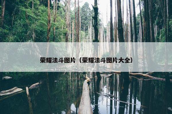 荣耀法斗图片（荣耀法斗图片大全）