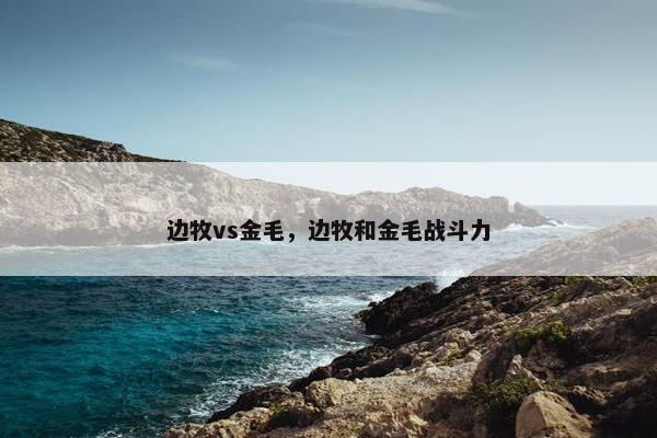 边牧vs金毛，边牧和金毛战斗力