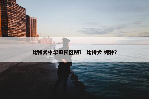 比特犬中华田园区别？ 比特犬 纯种？