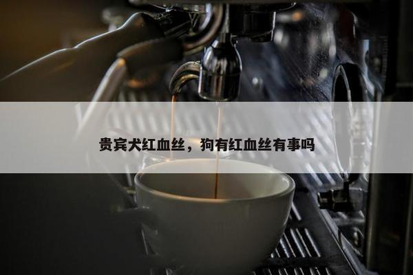 贵宾犬红血丝，狗有红血丝有事吗