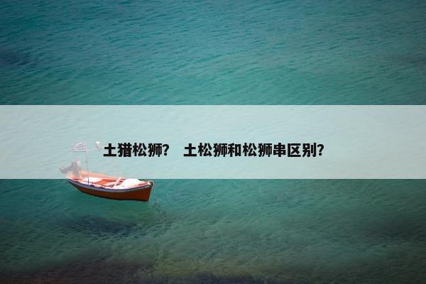 土猎松狮？ 土松狮和松狮串区别？