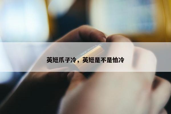 英短爪子冷，英短是不是怕冷