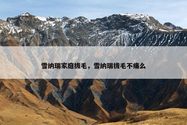 雪纳瑞家庭拔毛，雪纳瑞拔毛不痛么