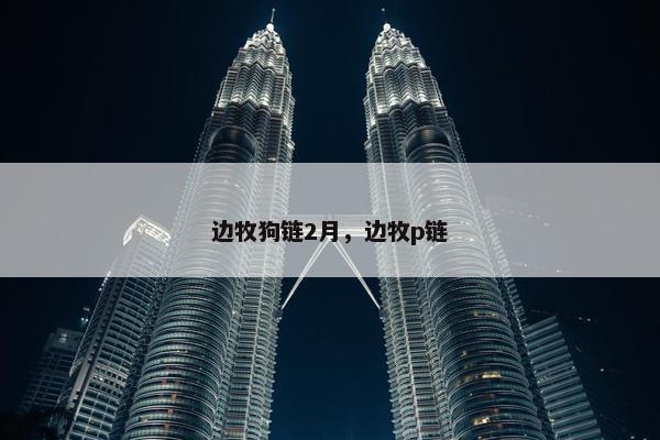 边牧狗链2月，边牧p链