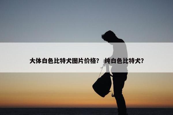 大体白色比特犬图片价格？ 纯白色比特犬？