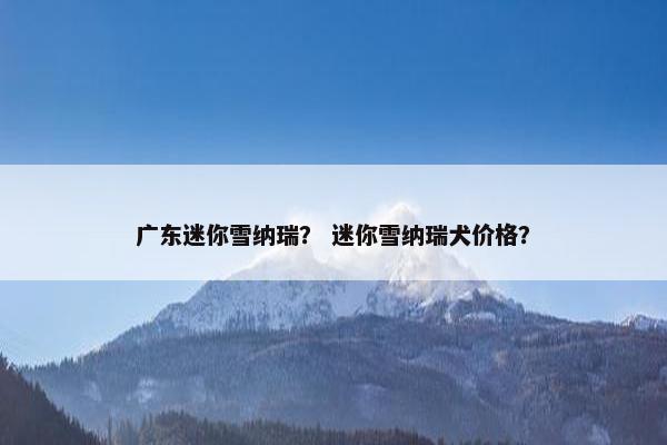 广东迷你雪纳瑞？ 迷你雪纳瑞犬价格？