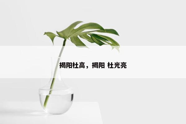揭阳杜高，揭阳 杜光亮