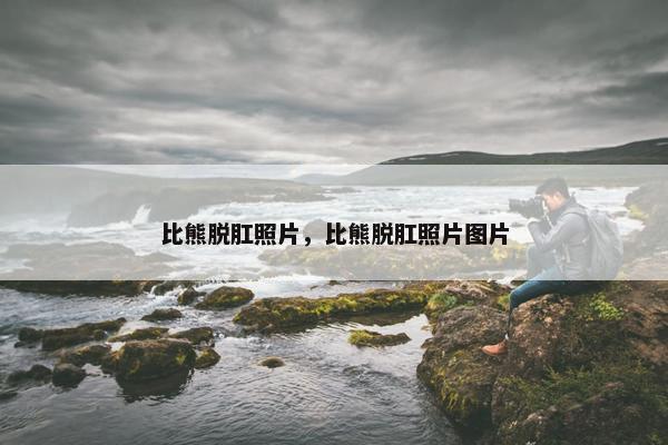 比熊脱肛照片，比熊脱肛照片图片