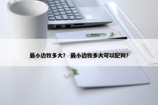 最小边牧多大？ 最小边牧多大可以配狗？