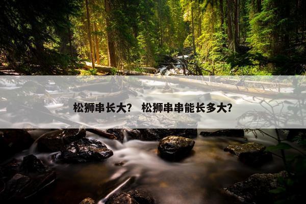 松狮串长大？ 松狮串串能长多大？