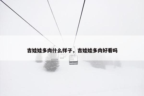 吉娃娃多肉什么样子，吉娃娃多肉好看吗