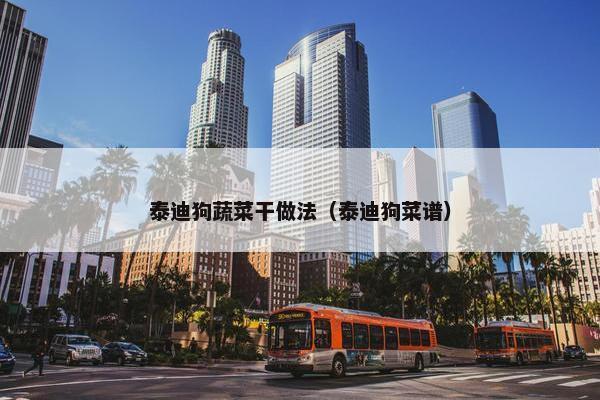 泰迪狗蔬菜干做法（泰迪狗菜谱）