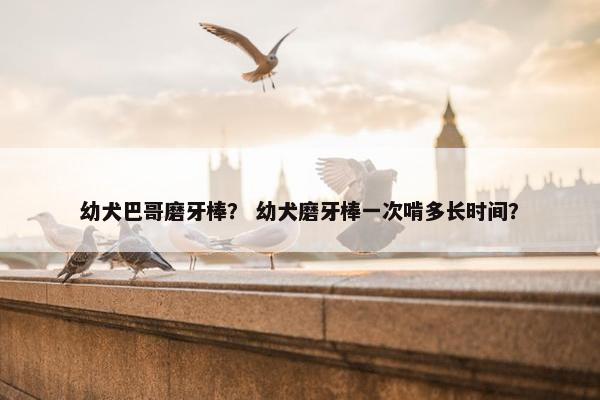 幼犬巴哥磨牙棒？ 幼犬磨牙棒一次啃多长时间？
