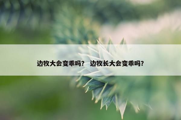 边牧大会变乖吗？ 边牧长大会变乖吗？
