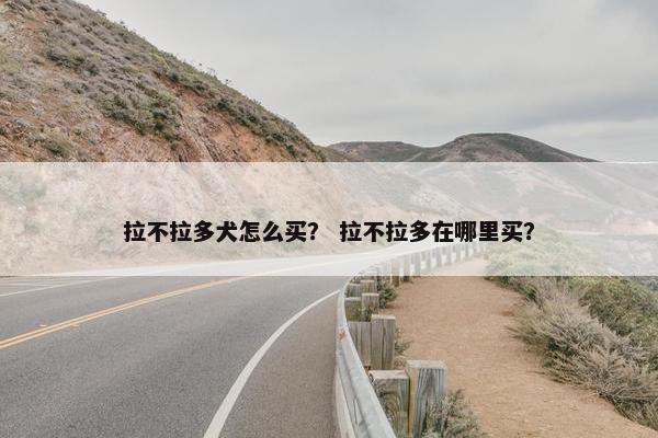 拉不拉多犬怎么买？ 拉不拉多在哪里买？