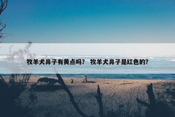 牧羊犬鼻子有黄点吗？ 牧羊犬鼻子是红色的？