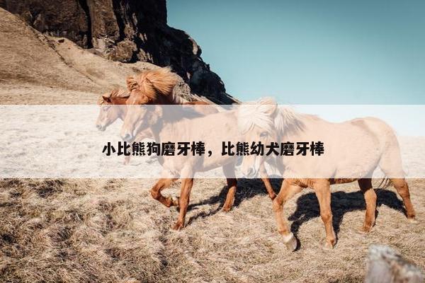 小比熊狗磨牙棒，比熊幼犬磨牙棒