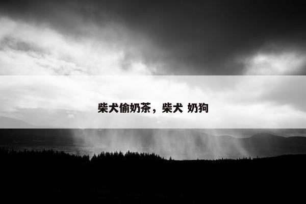 柴犬偷奶茶，柴犬 奶狗