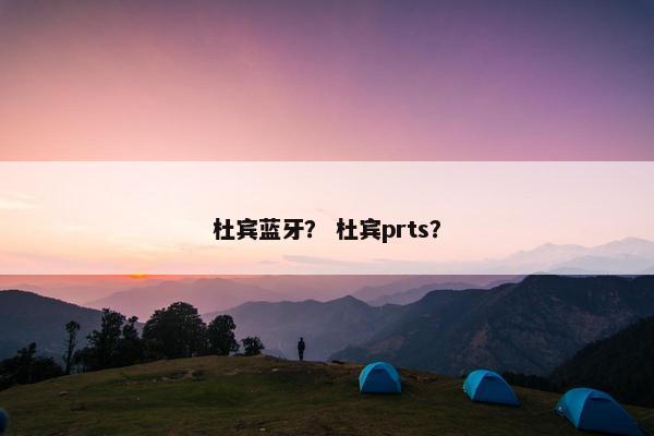 杜宾蓝牙？ 杜宾prts？
