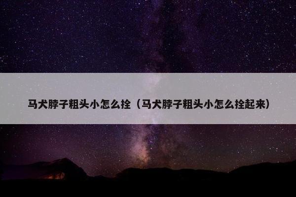 马犬脖子粗头小怎么拴（马犬脖子粗头小怎么拴起来）