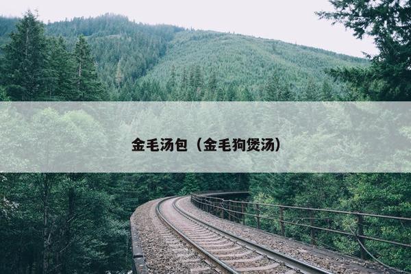 金毛汤包（金毛狗煲汤）