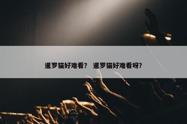 暹罗猫好难看？ 暹罗猫好难看呀？
