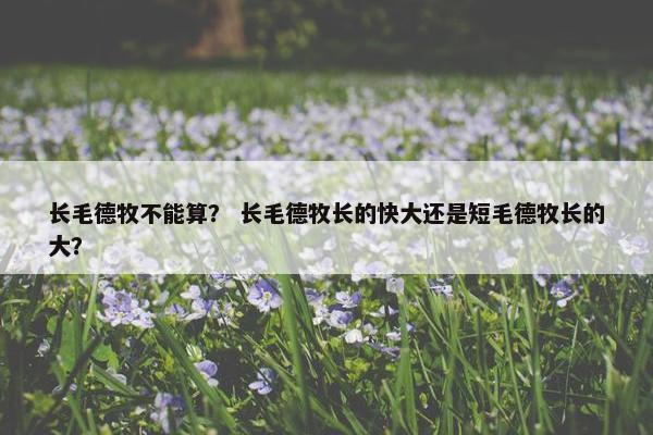 长毛德牧不能算？ 长毛德牧长的快大还是短毛德牧长的大？