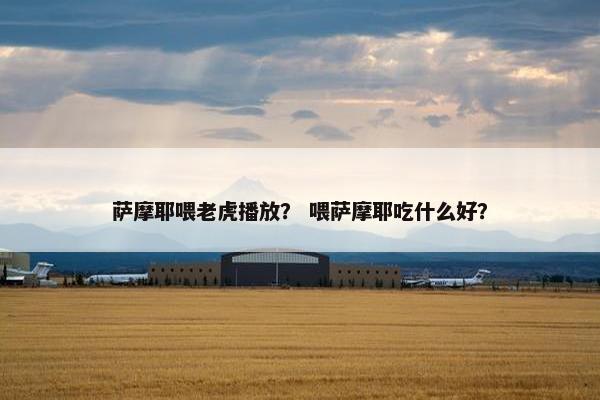 萨摩耶喂老虎播放？ 喂萨摩耶吃什么好？