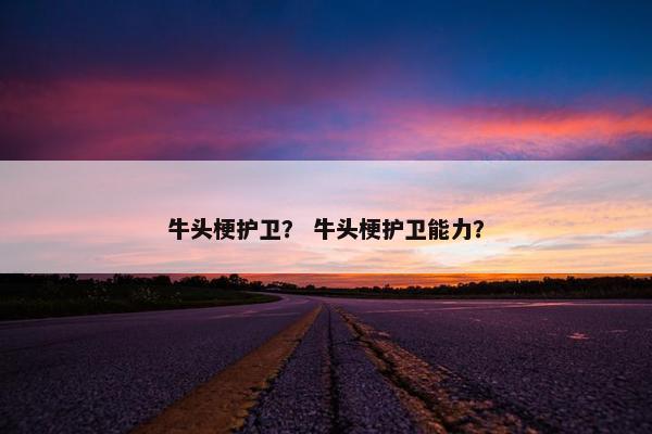 牛头梗护卫？ 牛头梗护卫能力？