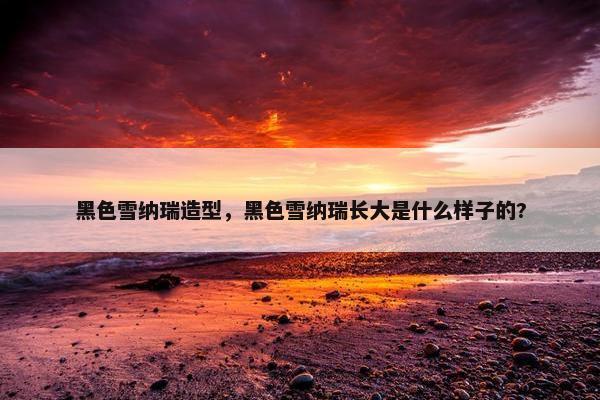 黑色雪纳瑞造型，黑色雪纳瑞长大是什么样子的?
