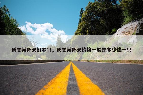 博美茶杯犬好养吗，博美茶杯犬价格一般是多少钱一只