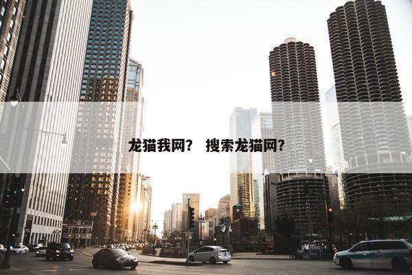 龙猫我网？ 搜索龙猫网？