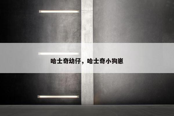 哈士奇幼仔，哈士奇小狗崽