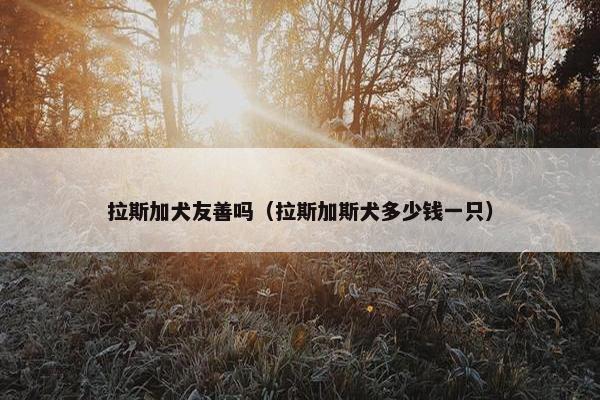 拉斯加犬友善吗（拉斯加斯犬多少钱一只）