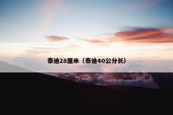 泰迪28厘米（泰迪40公分长）