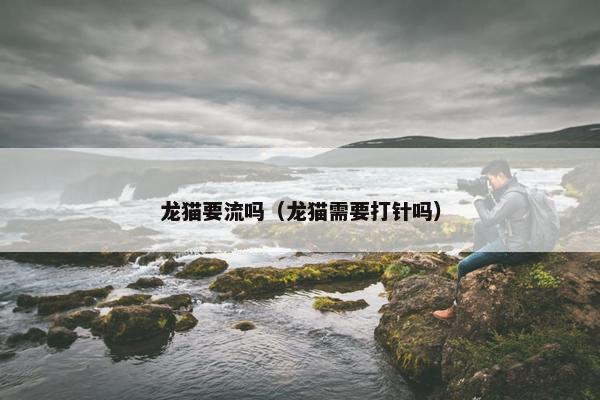 龙猫要流吗（龙猫需要打针吗）
