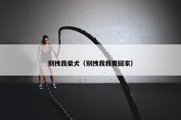 别拽我柴犬（别拽我我要回家）