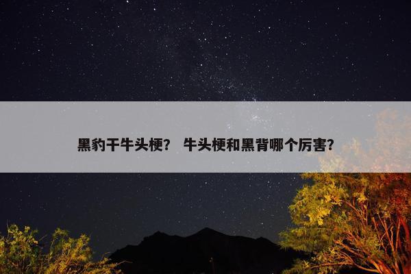 黑豹干牛头梗？ 牛头梗和黑背哪个厉害？