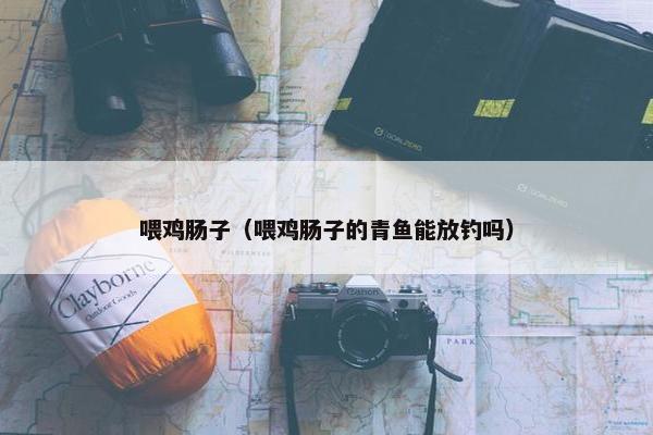 喂鸡肠子（喂鸡肠子的青鱼能放钓吗）