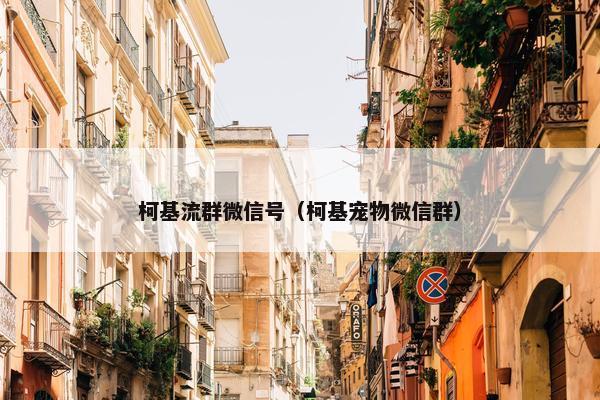 柯基流群微信号（柯基宠物微信群）