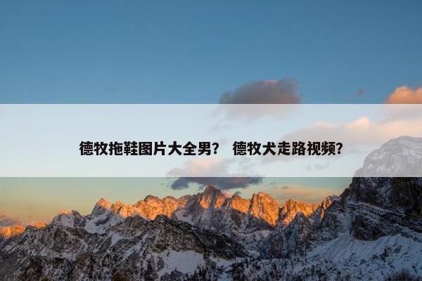 德牧拖鞋图片大全男？ 德牧犬走路视频？