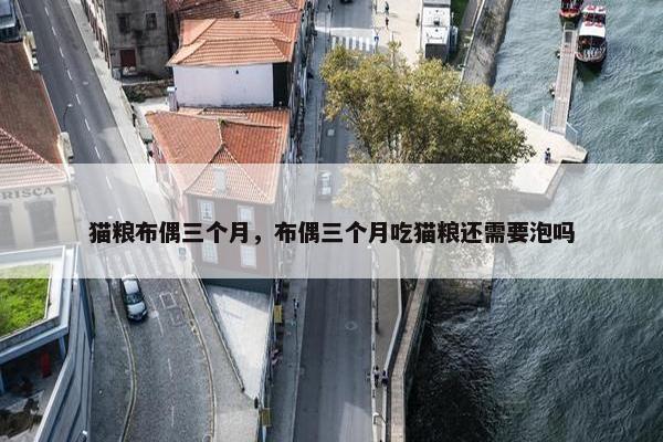 猫粮布偶三个月，布偶三个月吃猫粮还需要泡吗